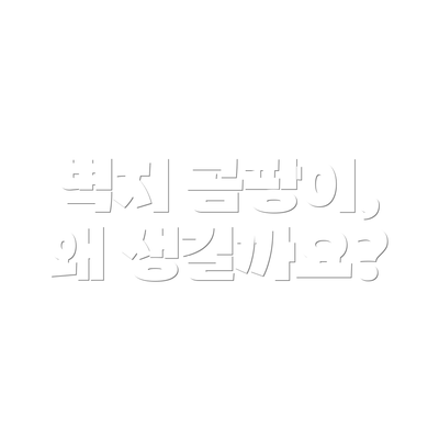 벽지 곰팡이, 왜 생길까요?