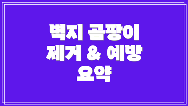 벽지 곰팡이 제거 & 예방 요약