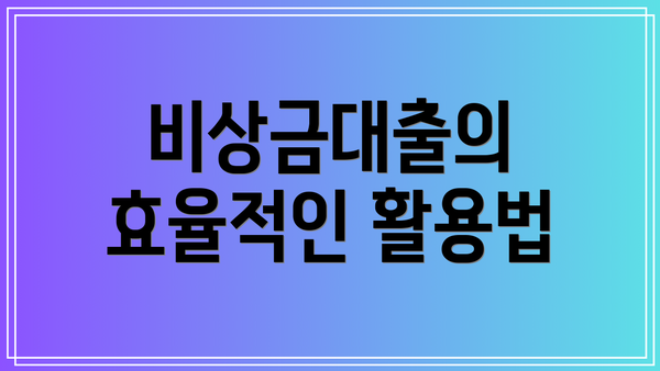 비상금대출의 효율적인 활용법