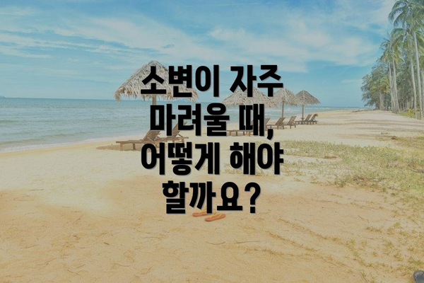 소변이 자주 마려울 때, 어떻게 해야 할까요?