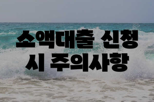 소액대출 신청 시 주의사항