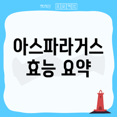 아스파라거스 효능 요약