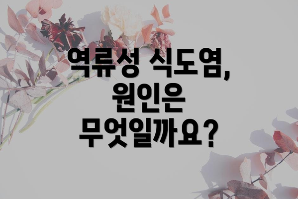 역류성 식도염, 원인은 무엇일까요?