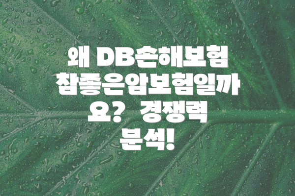왜 DB손해보험 참좋은암보험일까요?  경쟁력 분석!
