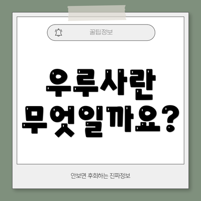 우루사란 무엇일까요?