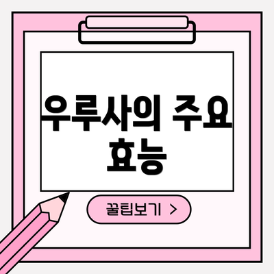 우루사의 주요 효능