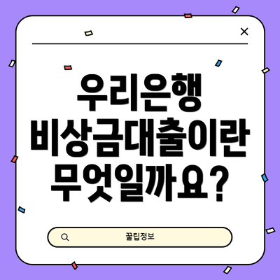 우리은행 비상금대출이란 무엇일까요?