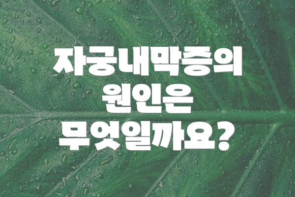 자궁내막증의 원인은 무엇일까요?