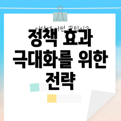 정책 효과 극대화를 위한 전략