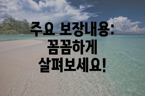 주요 보장내용: 꼼꼼하게 살펴보세요!