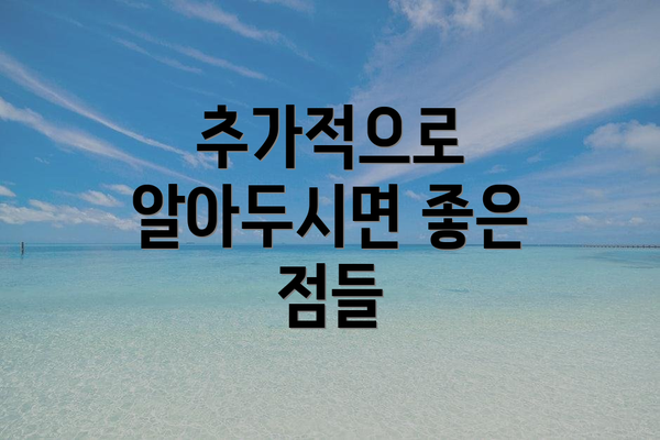 추가적으로 알아두시면 좋은 점들