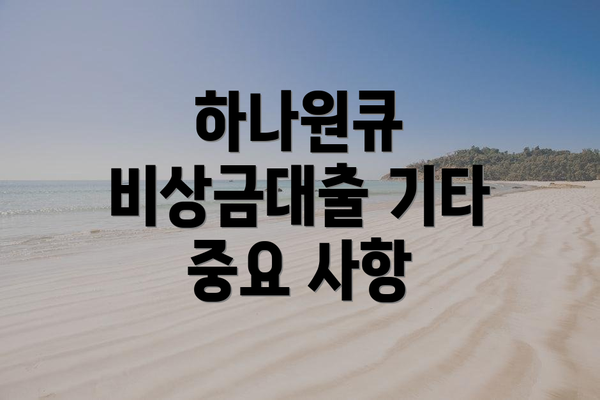 하나원큐 비상금대출 기타 중요 사항