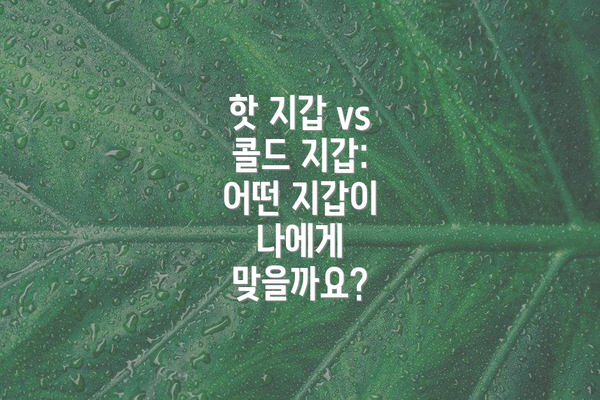 핫 지갑 vs 콜드 지갑: 어떤 지갑이 나에게 맞을까요?