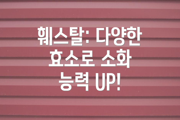 훼스탈: 다양한 효소로 소화 능력 UP!