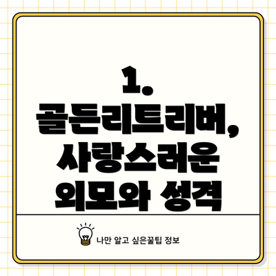 1. 골든리트리버, 사랑스러운 외모와 성격