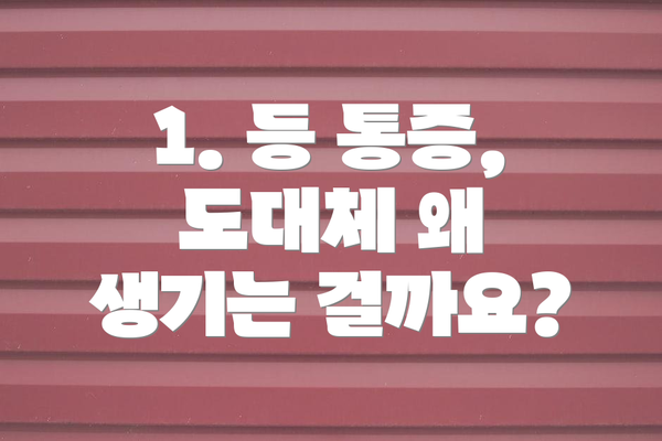 1. 등 통증, 도대체 왜 생기는 걸까요?