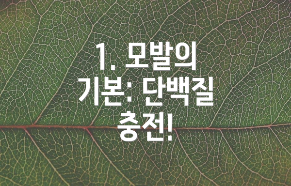 1. 모발의 기본: 단백질 충전!