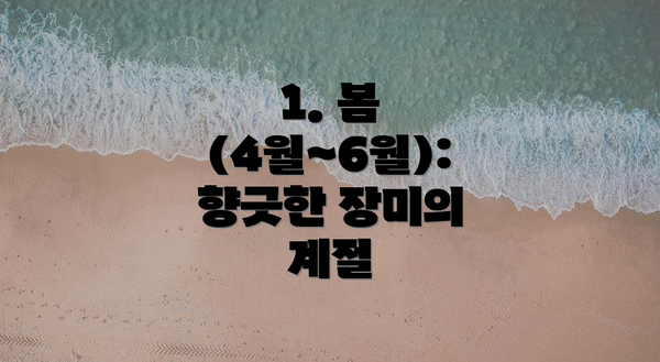 1. 봄 (4월~6월): 향긋한 장미의 계절