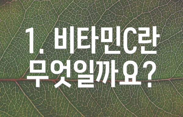 1. 비타민C란 무엇일까요?