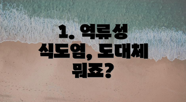 1. 역류성 식도염, 도대체 뭐죠?