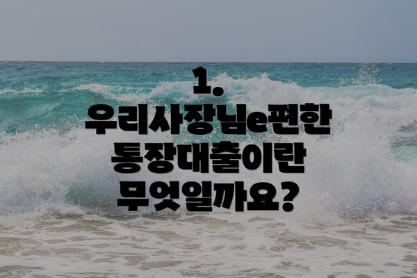 1. 우리사장님e편한 통장대출이란 무엇일까요?