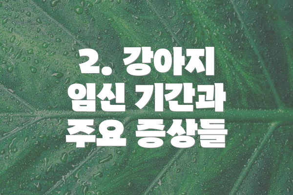 2. 강아지 임신 기간과 주요 증상들