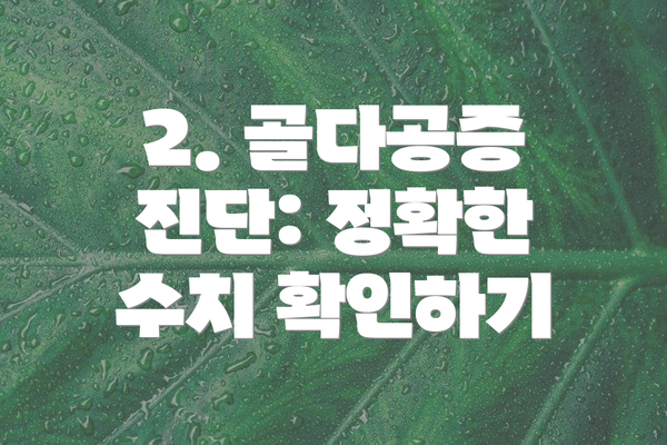 2. 골다공증 진단: 정확한 수치 확인하기
