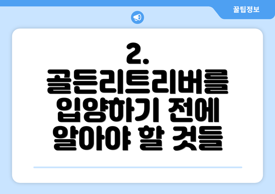 2. 골든리트리버를 입양하기 전에 알아야 할 것들
