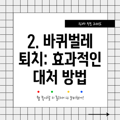 2. 바퀴벌레 퇴치: 효과적인 대처 방법
