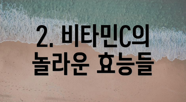 2. 비타민C의 놀라운 효능들