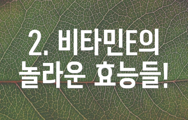 2. 비타민E의 놀라운 효능들!