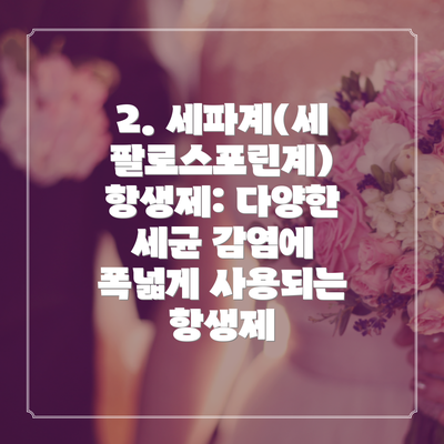 2. 세파계(세팔로스포린계) 항생제: 다양한 세균 감염에 폭넓게 사용되는 항생제