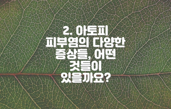 2. 아토피 피부염의 다양한 증상들, 어떤 것들이 있을까요?