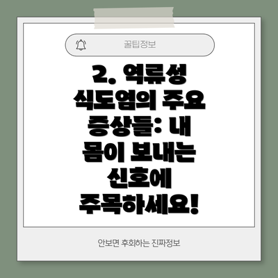 2. 역류성 식도염의 주요 증상들: 내 몸이 보내는 신호에 주목하세요!