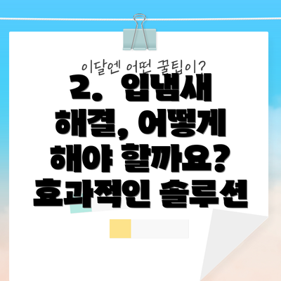 2.  입냄새 해결, 어떻게 해야 할까요? 효과적인 솔루션