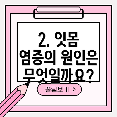 2. 잇몸 염증의 원인은 무엇일까요?