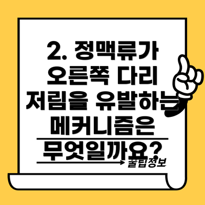 2. 정맥류가 오른쪽 다리 저림을 유발하는 메커니즘은 무엇일까요?