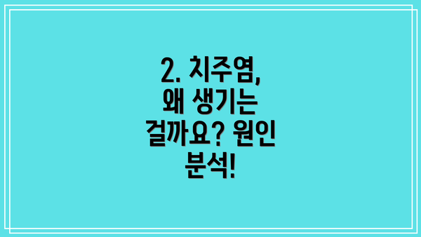 2. 치주염, 왜 생기는 걸까요? 원인 분석!