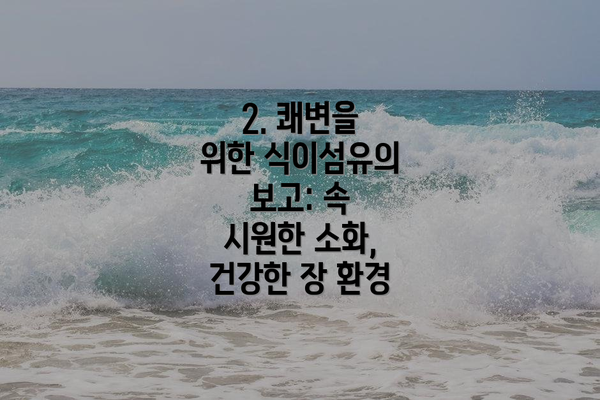 2. 쾌변을 위한 식이섬유의 보고: 속 시원한 소화, 건강한 장 환경