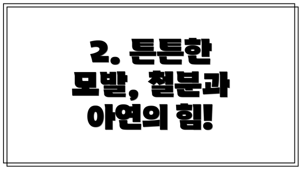 2. 튼튼한 모발, 철분과 아연의 힘!