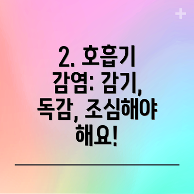 2. 호흡기 감염: 감기, 독감, 조심해야 해요!