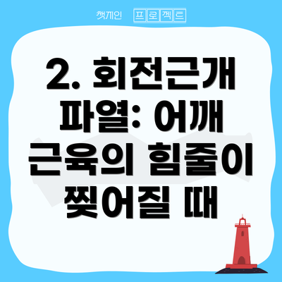 2. 회전근개 파열: 어깨 근육의 힘줄이 찢어질 때