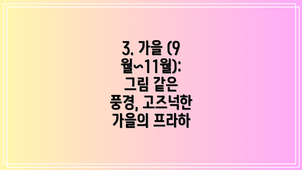 3. 가을 (9월~11월): 그림 같은 풍경, 고즈넉한 가을의 프라하