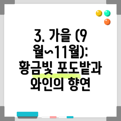 3. 가을 (9월~11월): 황금빛 포도밭과 와인의 향연