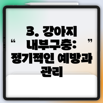 3. 강아지 내부구충: 정기적인 예방과 관리