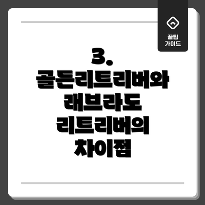 3.  골든리트리버와 래브라도 리트리버의 차이점