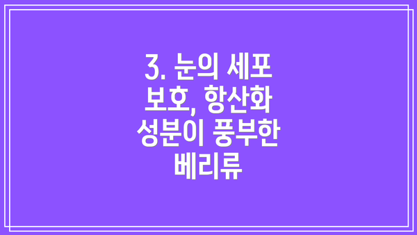 3. 눈의 세포 보호, 항산화 성분이 풍부한 베리류