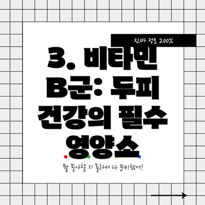 3. 비타민 B군: 두피 건강의 필수 영양소