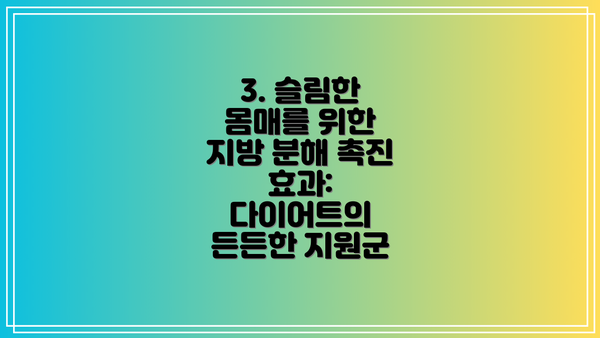 3. 슬림한 몸매를 위한 지방 분해 촉진 효과: 다이어트의 든든한 지원군