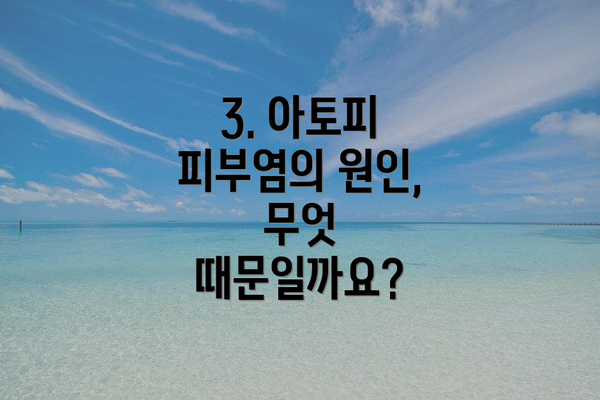 3. 아토피 피부염의 원인, 무엇 때문일까요?